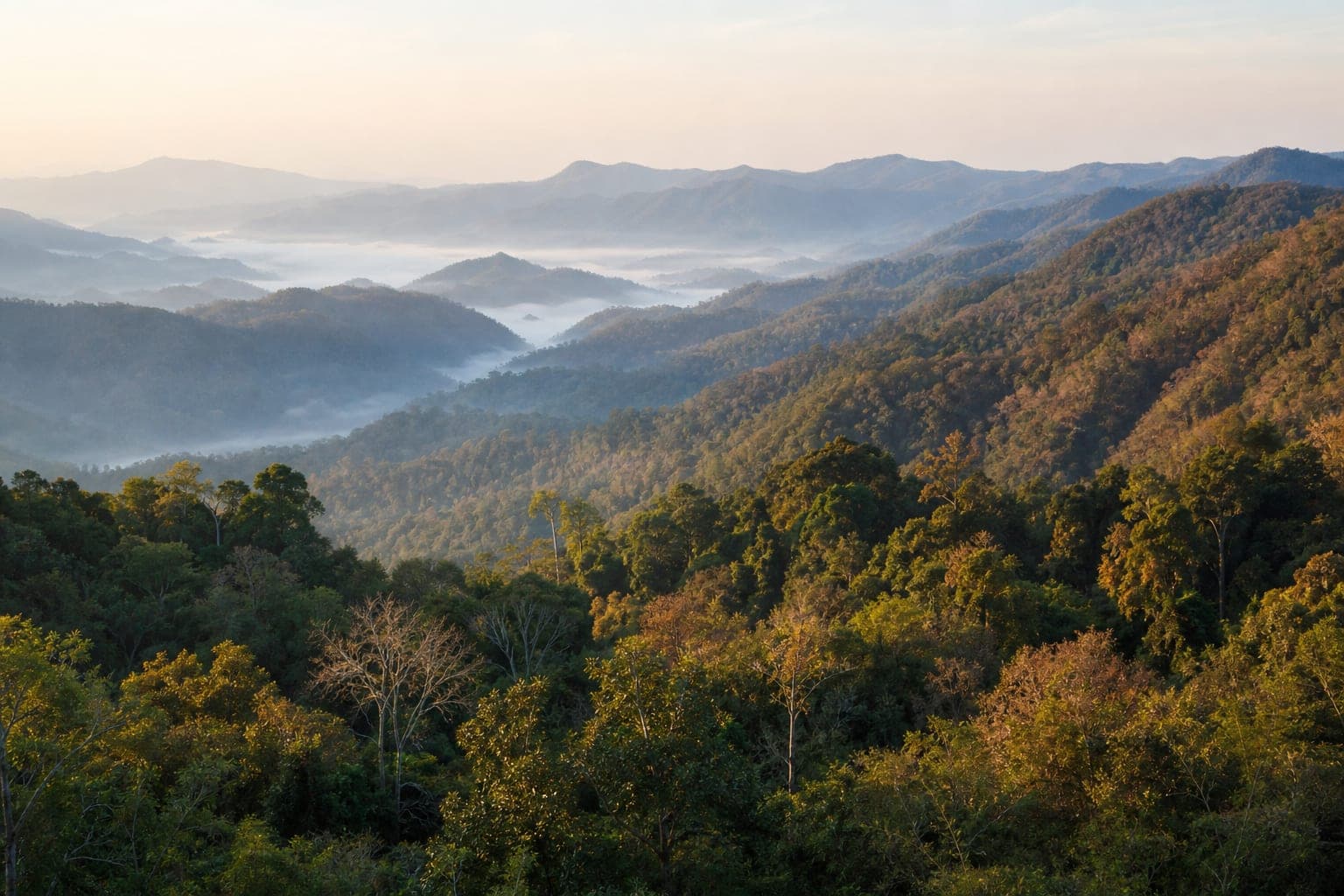 Thung Yai Naresuan Wildlife Sanctuary