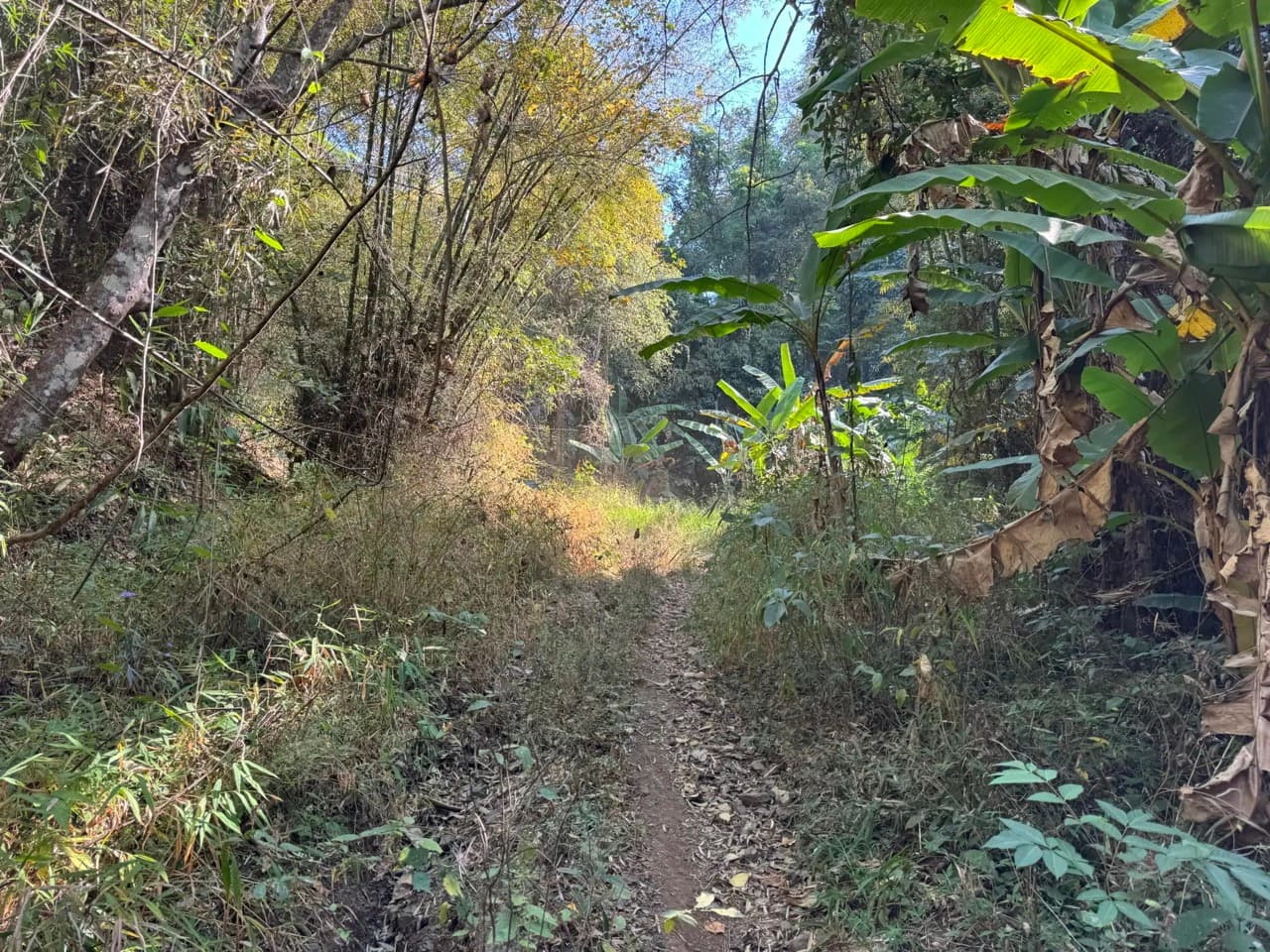 Dirt From Doi Pui to Samoeng Town