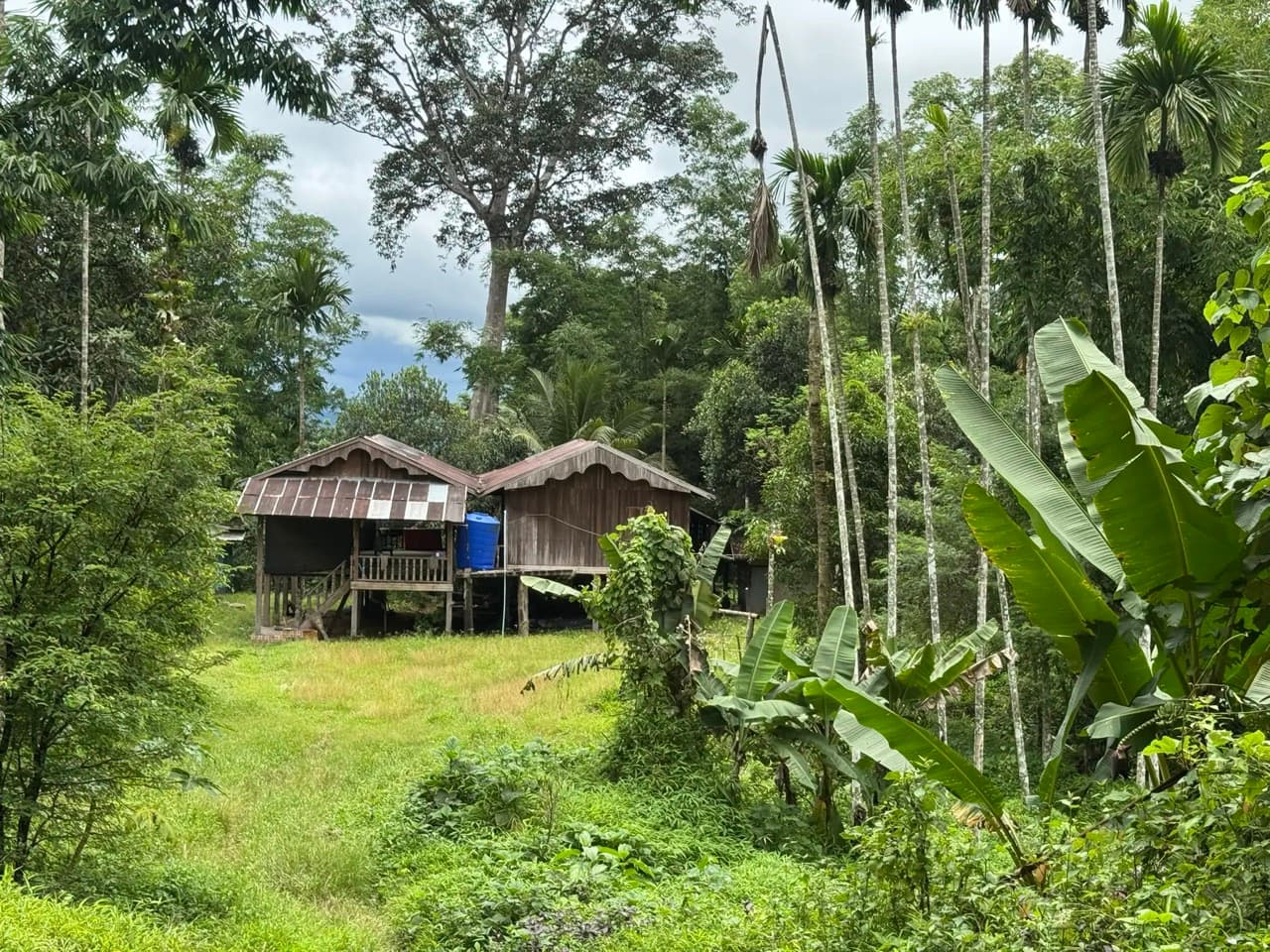 Baan Plueng Klueng to Baan Lee Tong Ku
