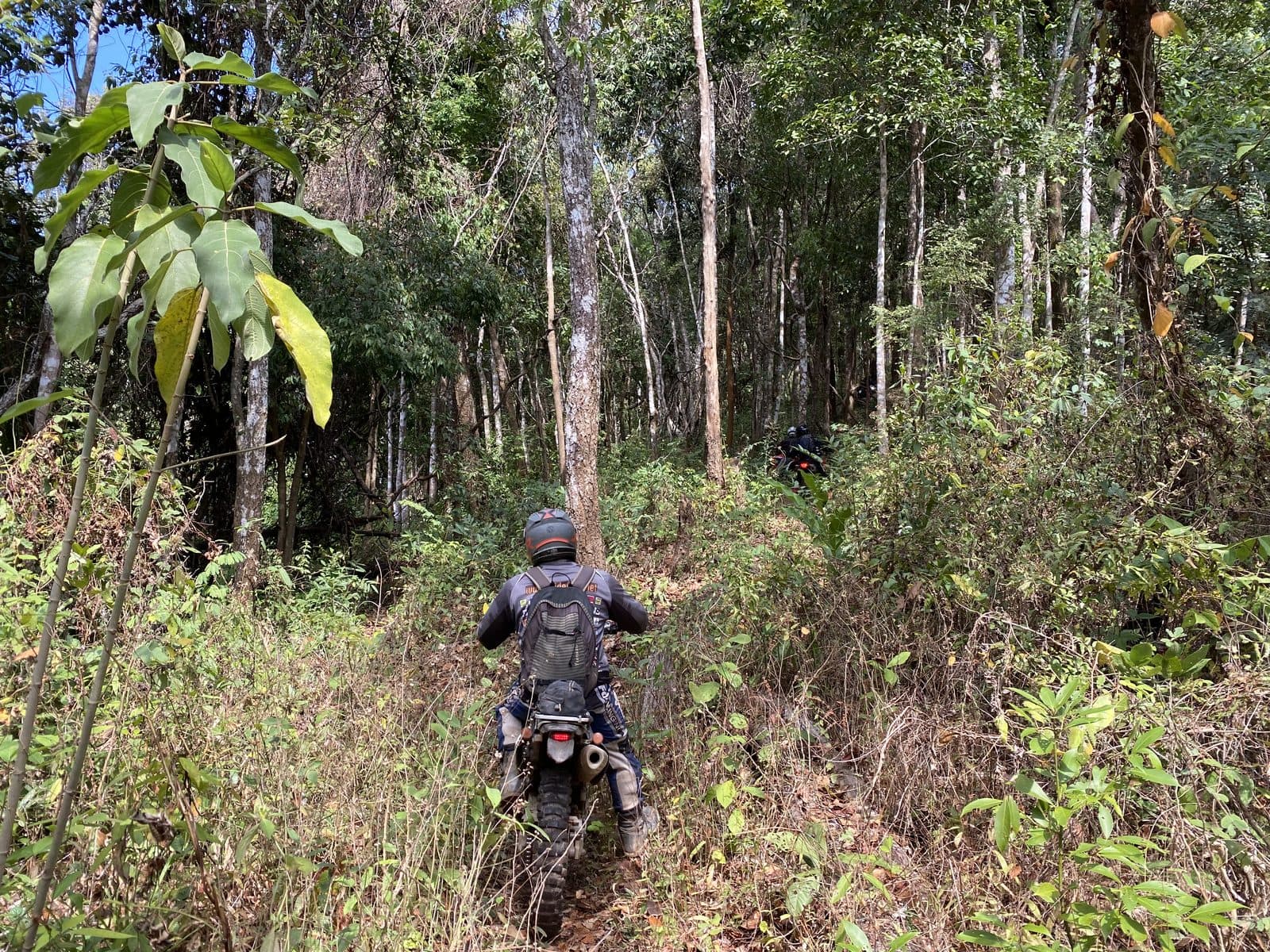 Mae Rim Dirt Trails