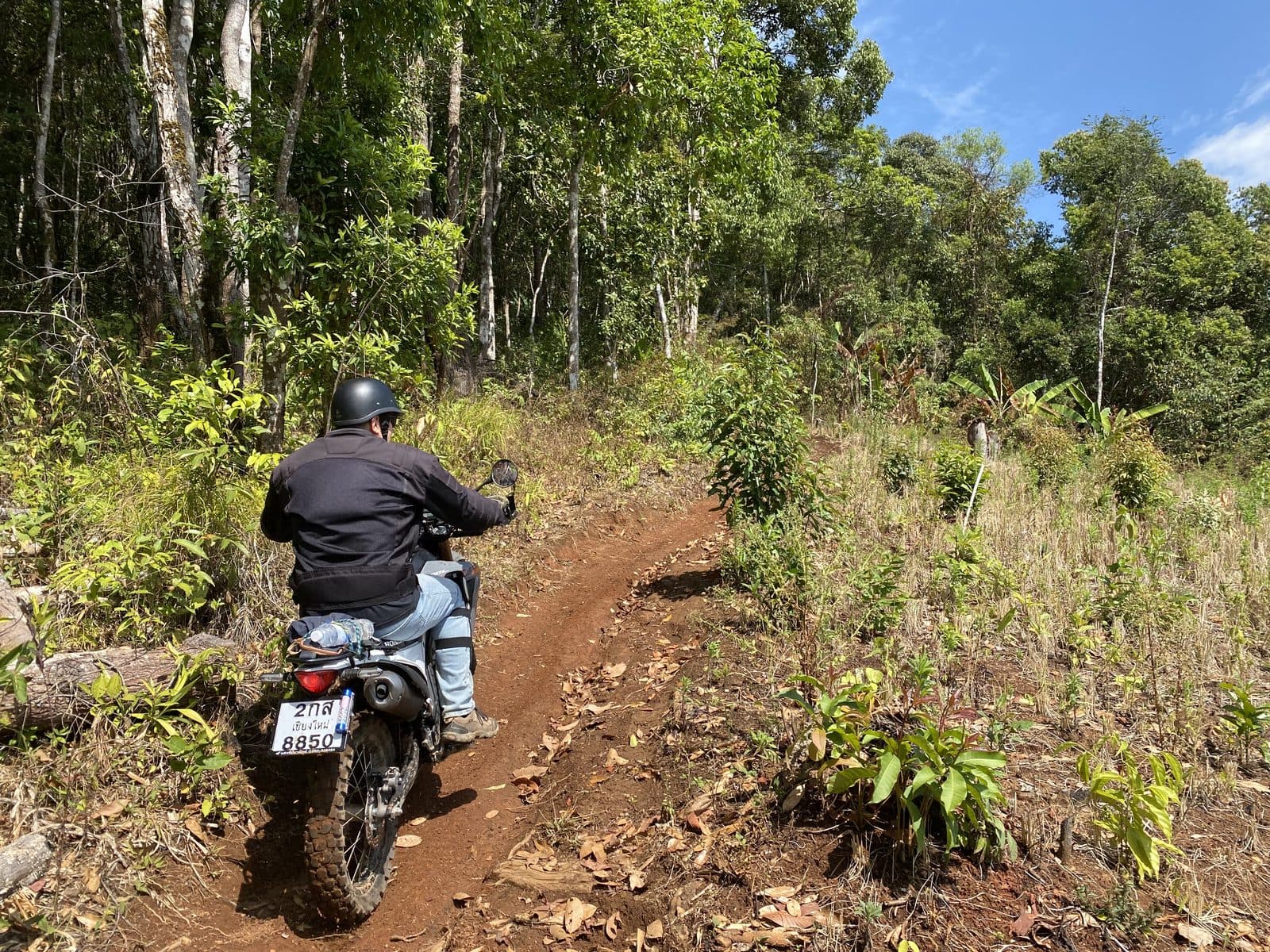 Mae Rim Dirt Trails