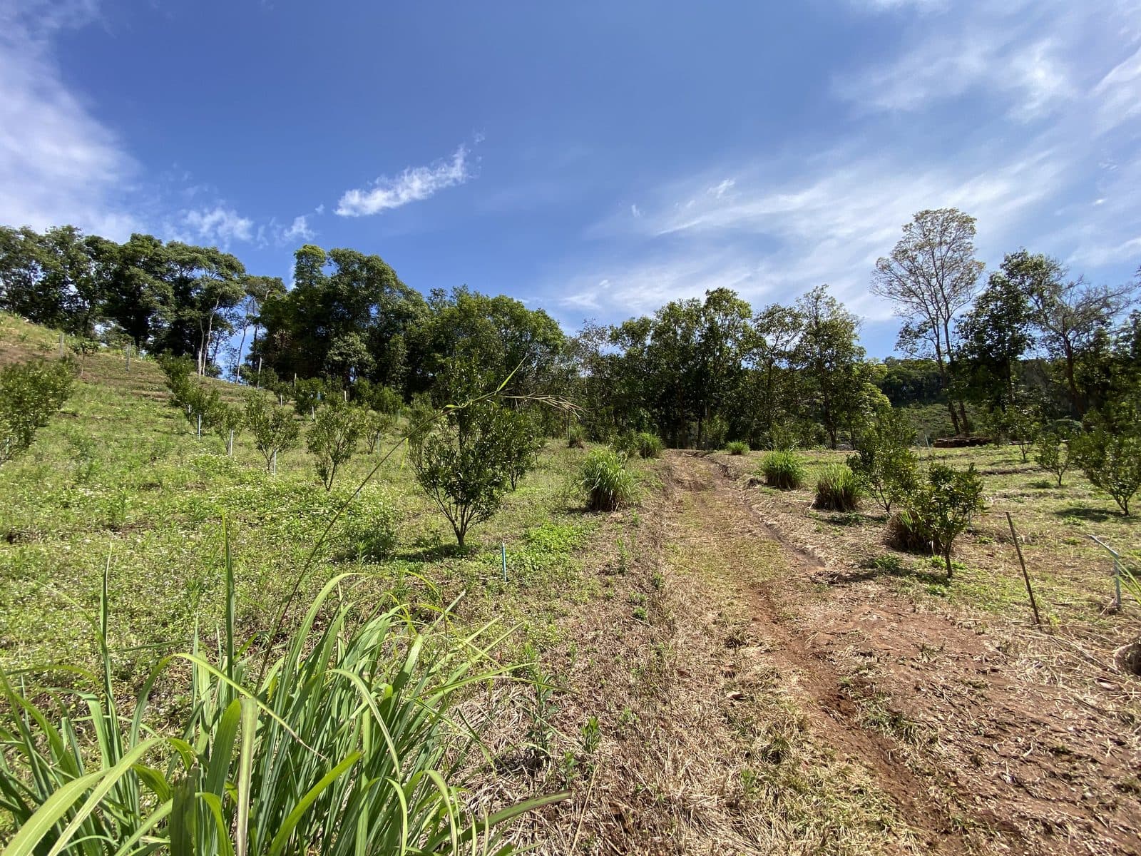 Mae Rim Dirt Trails