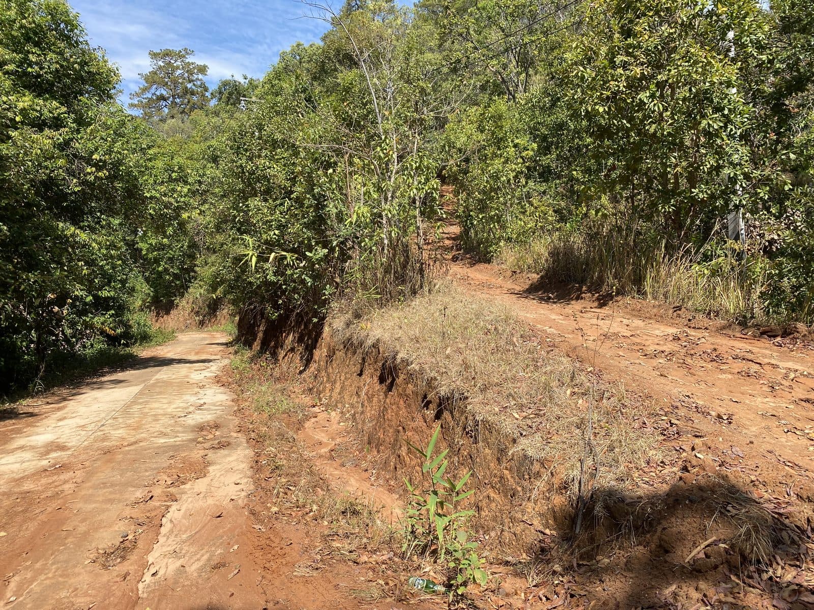 Mae Rim Dirt Trails