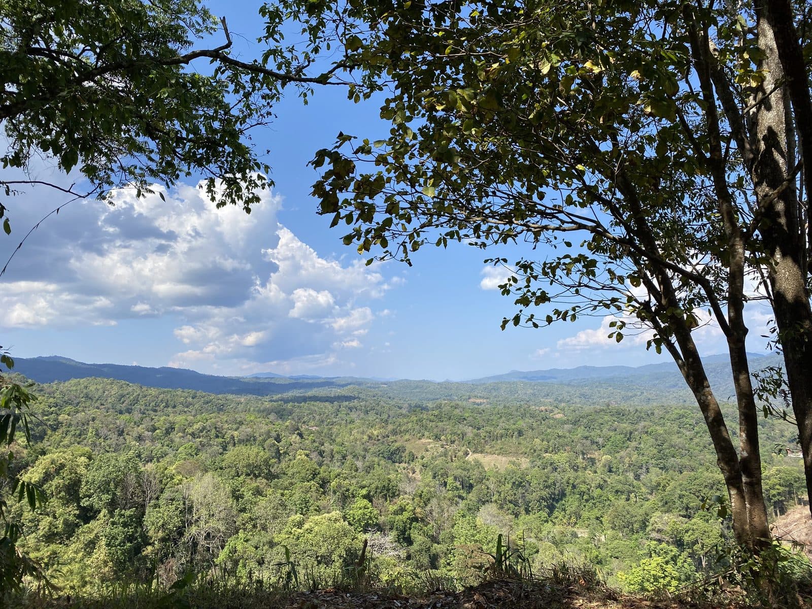 Mae Rim Dirt Trails