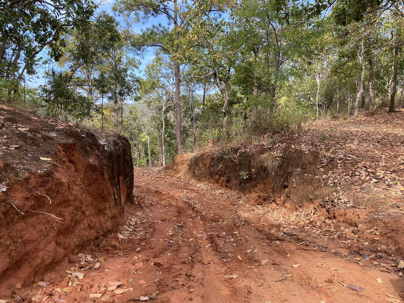Mae Rim Dirt Trails
