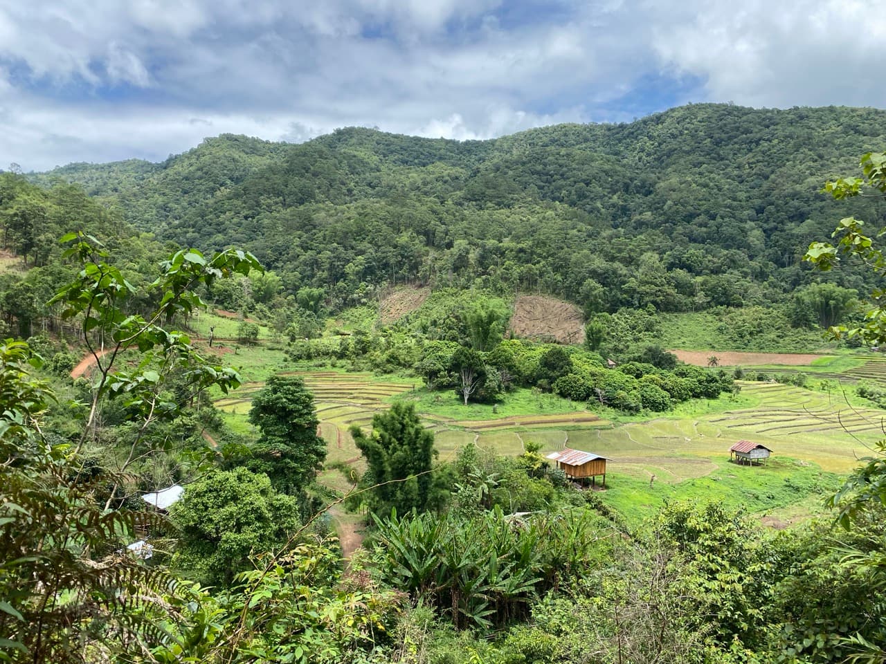 The Old Elephant Trail