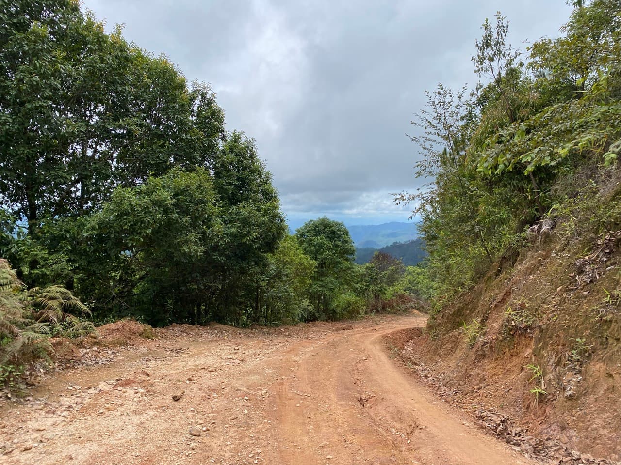 The Old Elephant Trail
