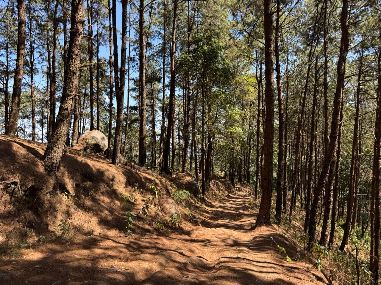 The Ramming Tea Estate to Chiang Dao