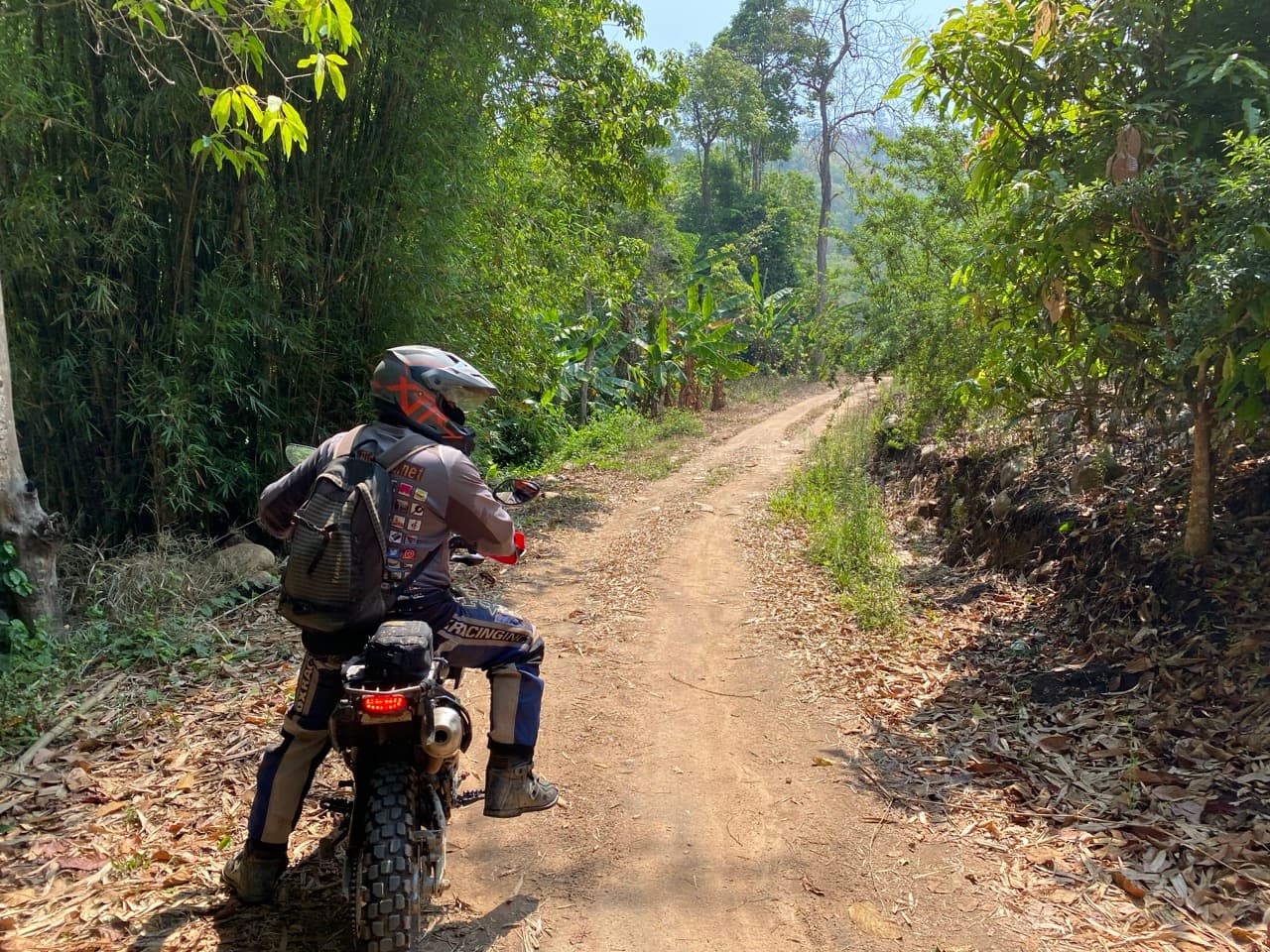 Lampang Fallen Trees Loop