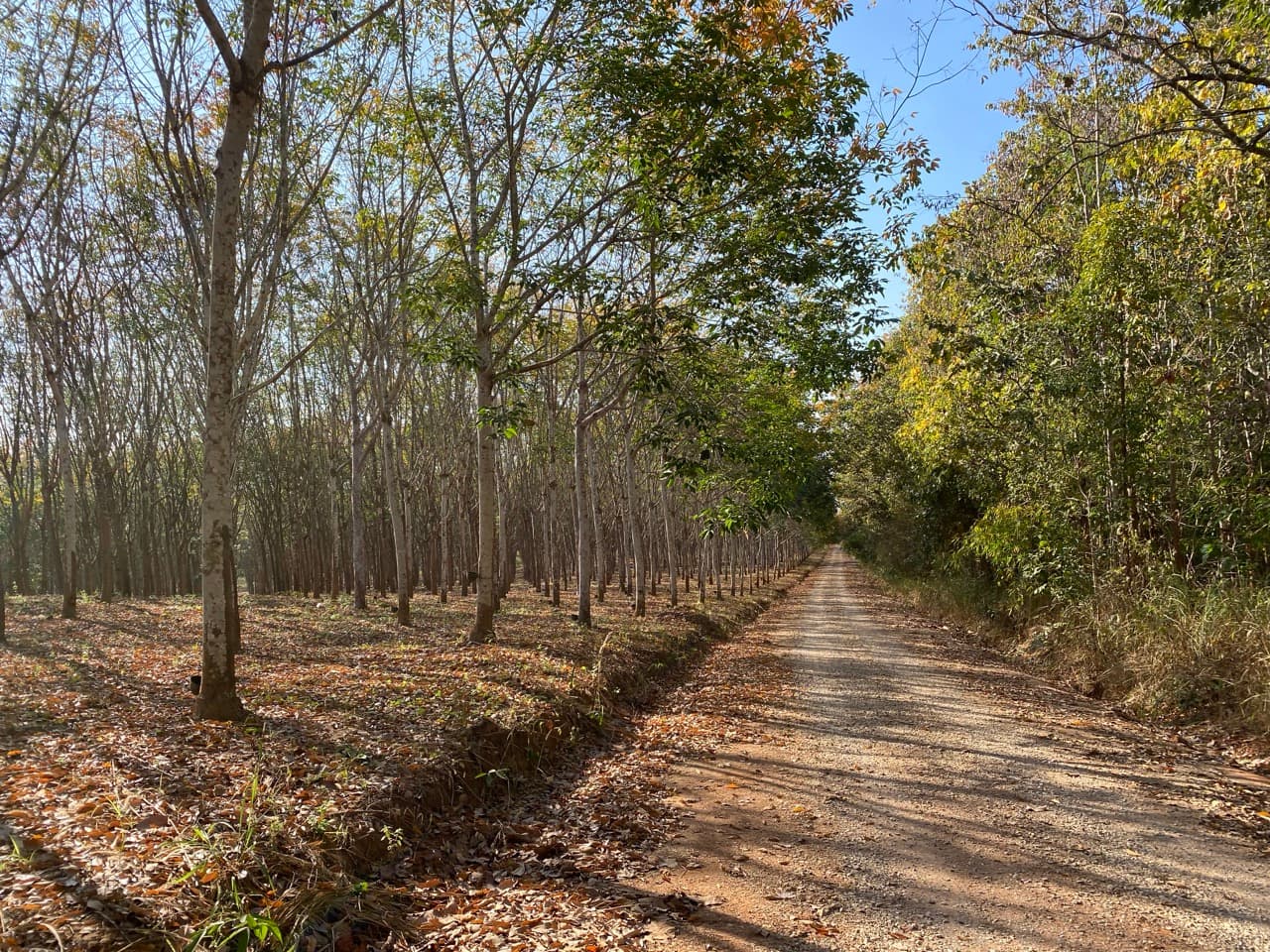Lampang Back-Roads