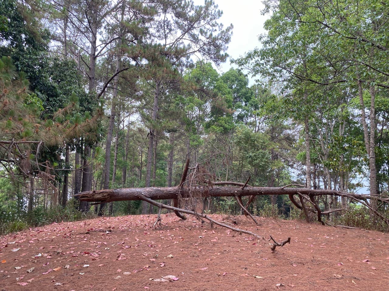Chiang Mai to Pai Off-road - Option 1