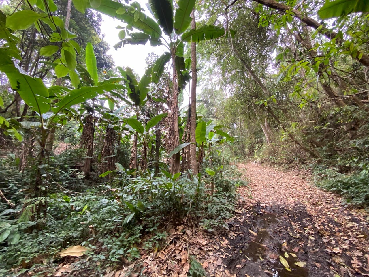 Chiang Mai to Pai Off-road - Option 1