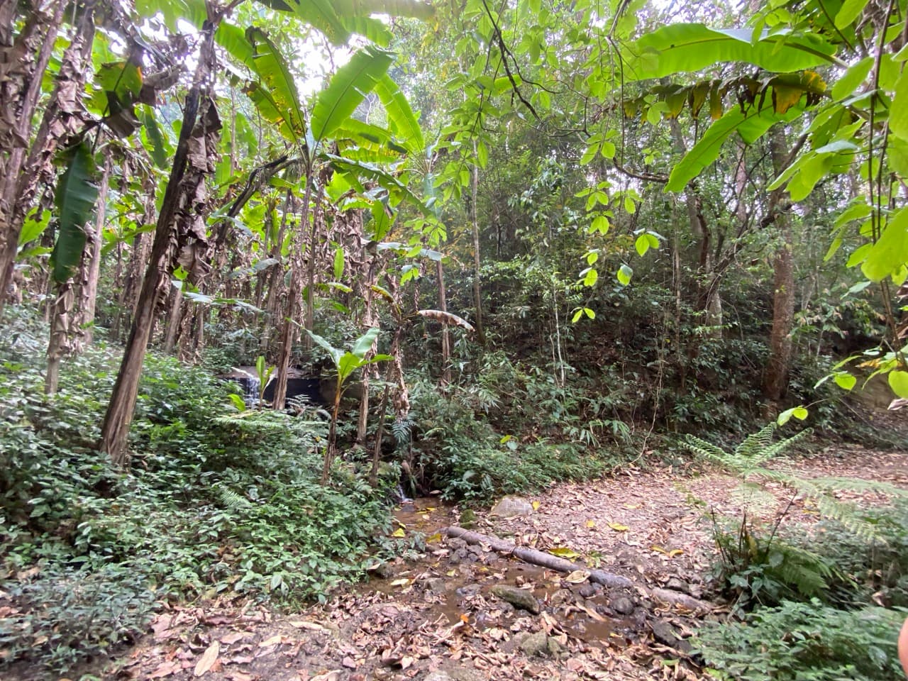 Chiang Mai to Pai Off-road - Option 1