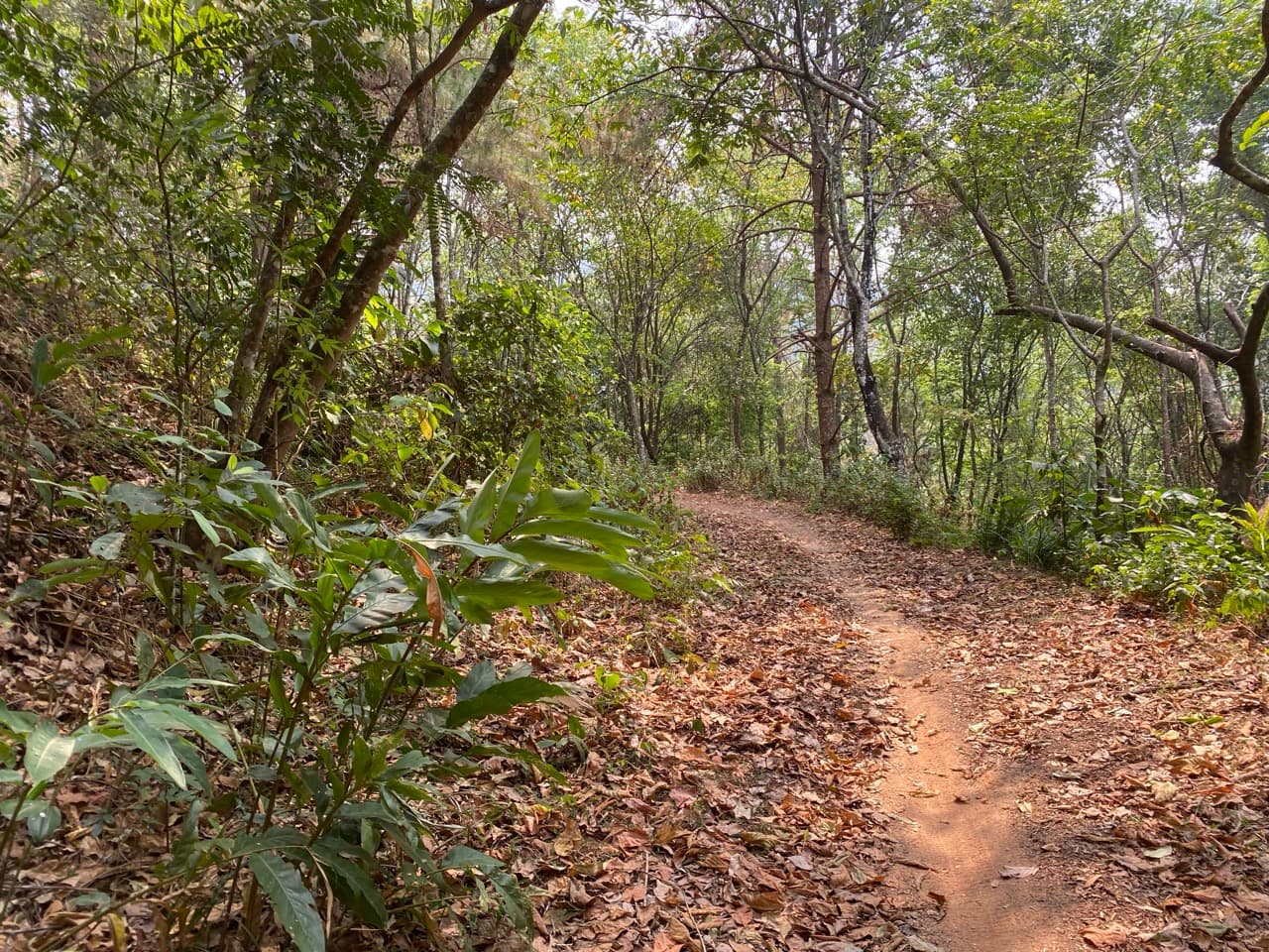 Chiang Mai to Pai Off-road - Option 1