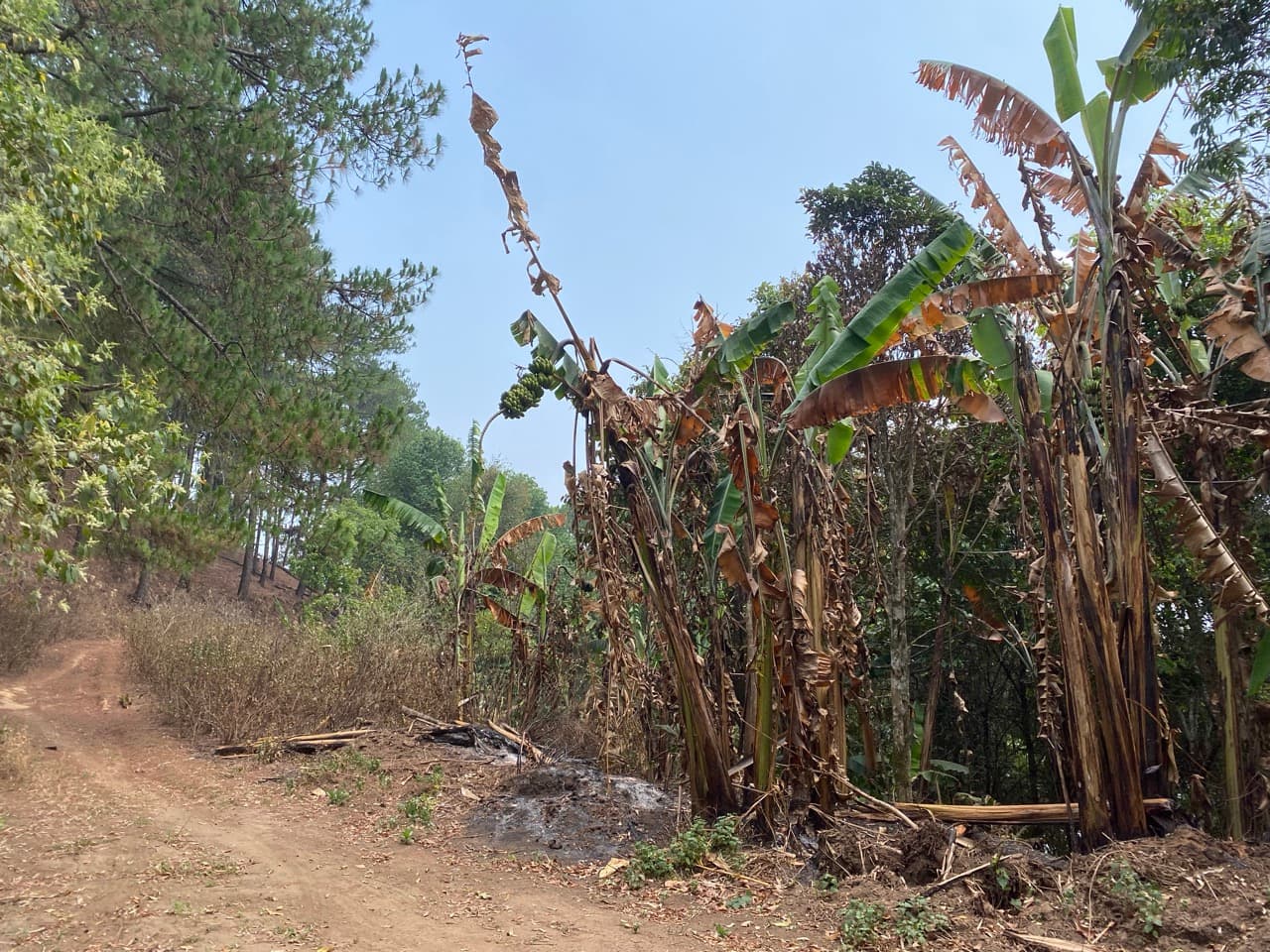 Chiang Mai to Pai Off-road - Option 1