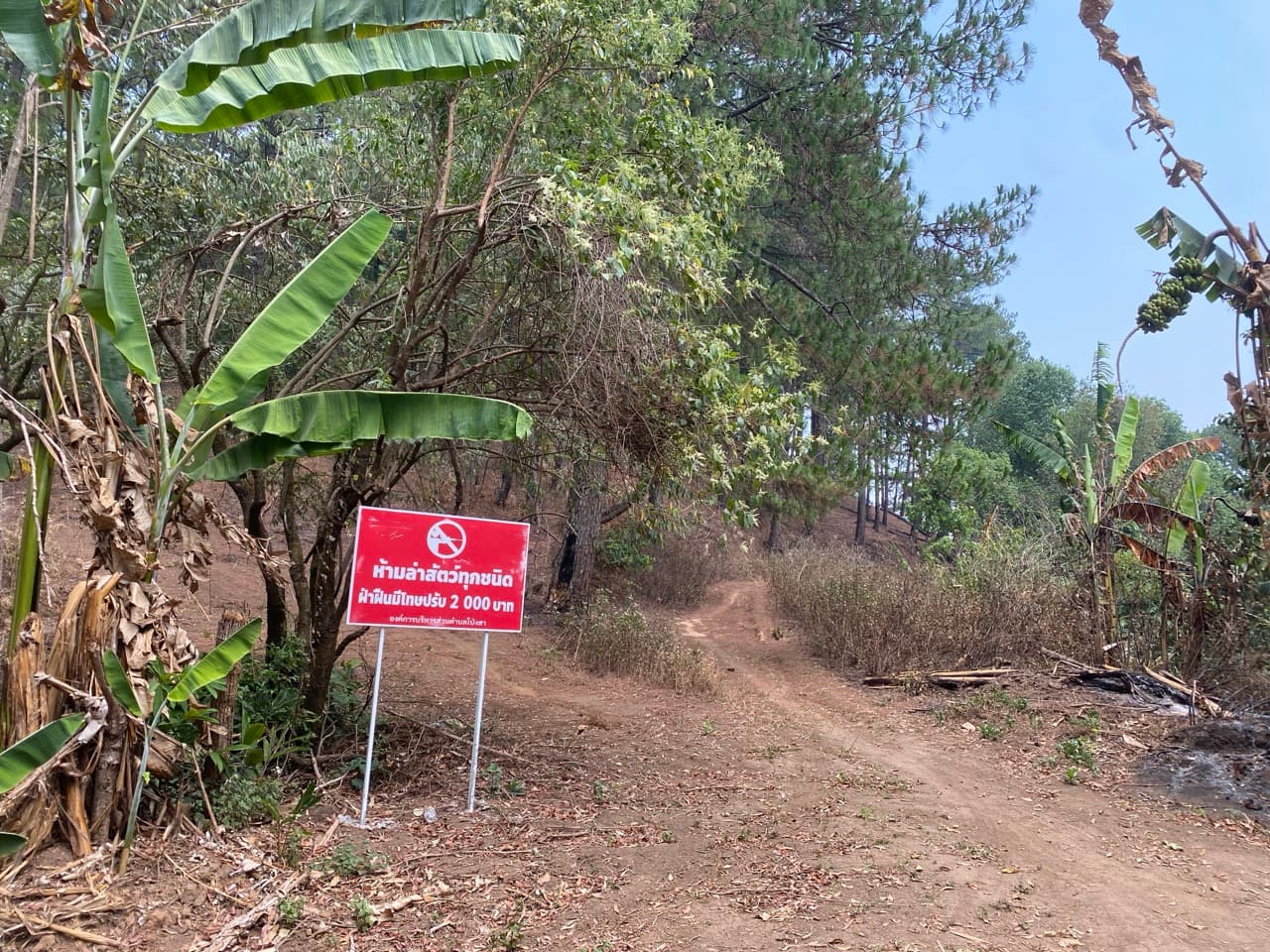 Chiang Mai to Pai Off-road - Option 1