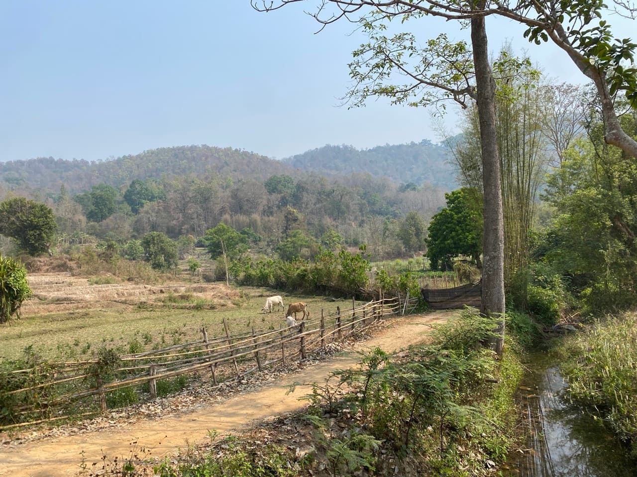 Chiang Mai to Pai Off-road - Option 1