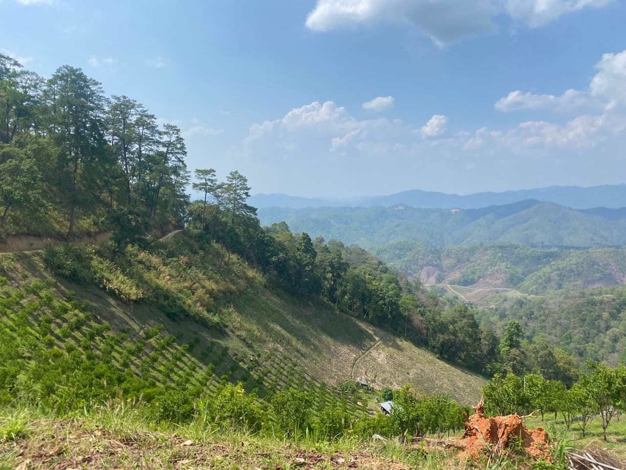 Doi Mon Angket