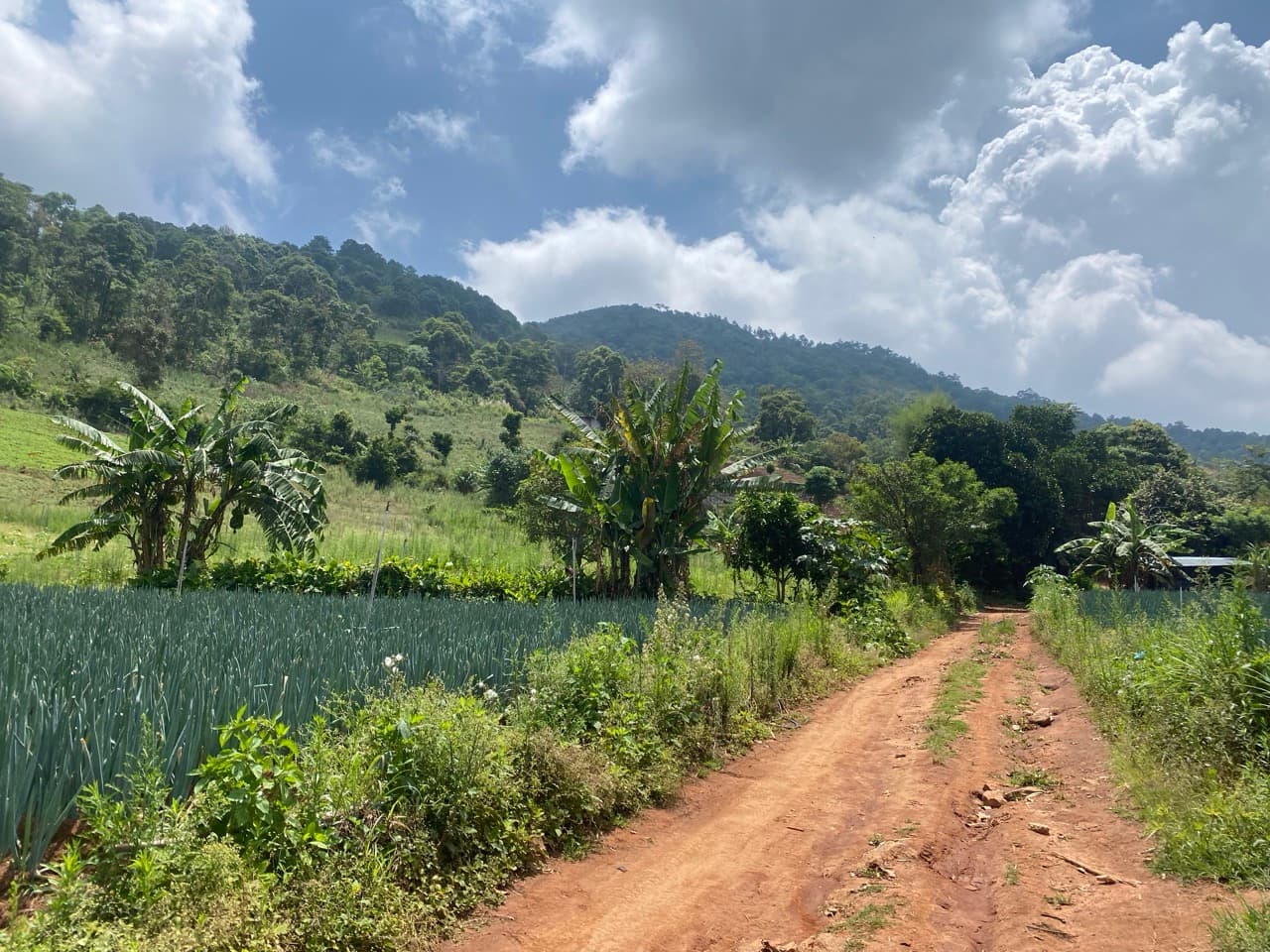 Doi Mon Angket