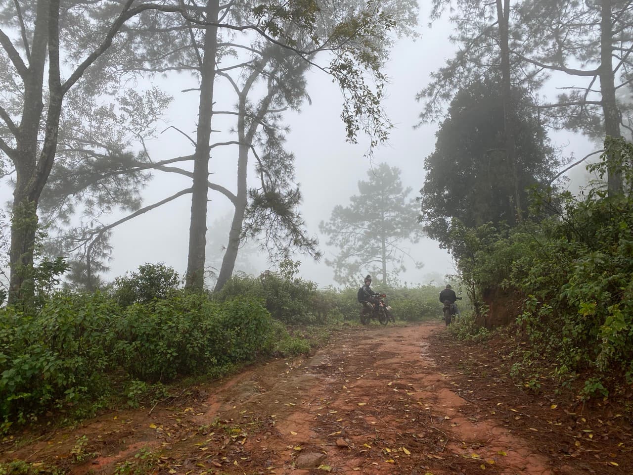 The Jesus Trail