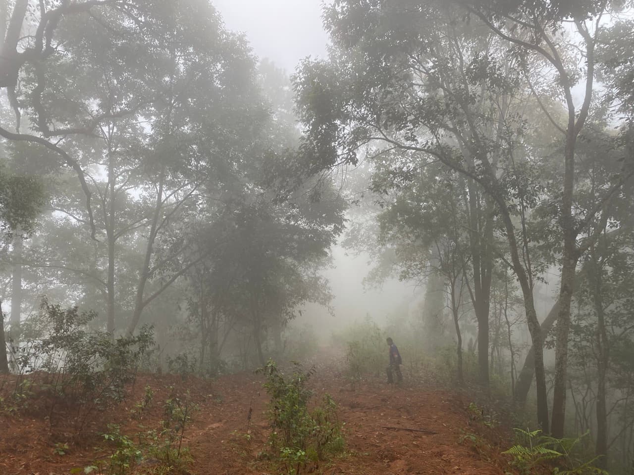 The Jesus Trail
