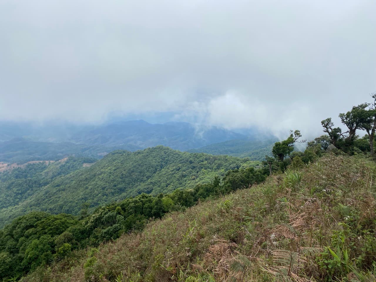 Doi Soi MaLai