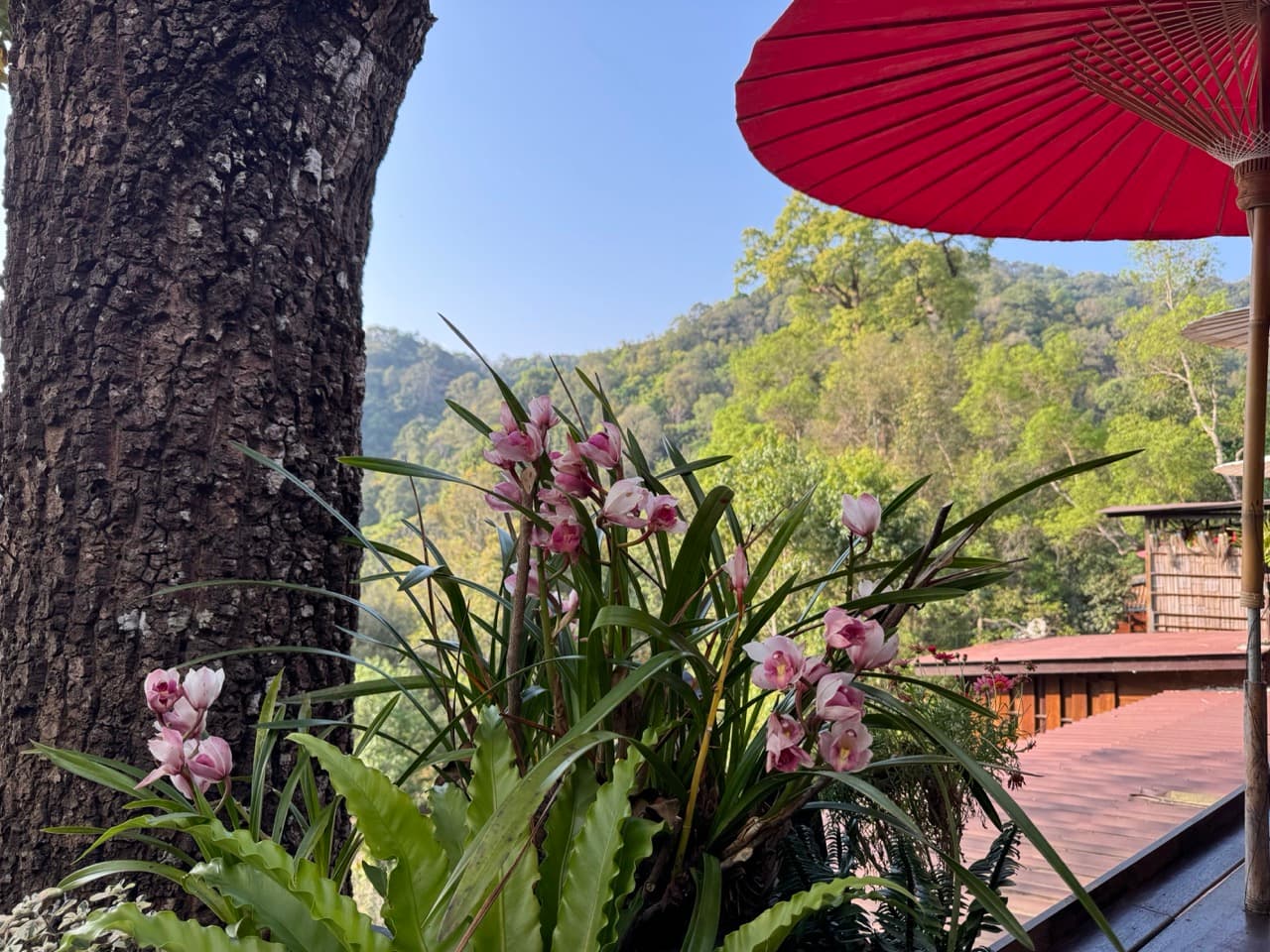 Chiang Mai to Nan via Backroads