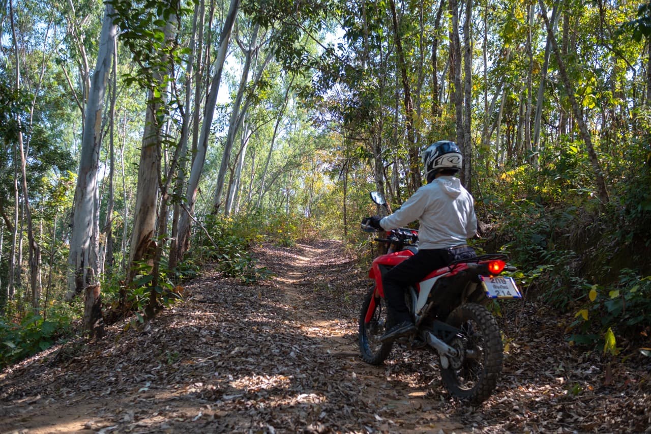 The Mae On Warm Up Trail