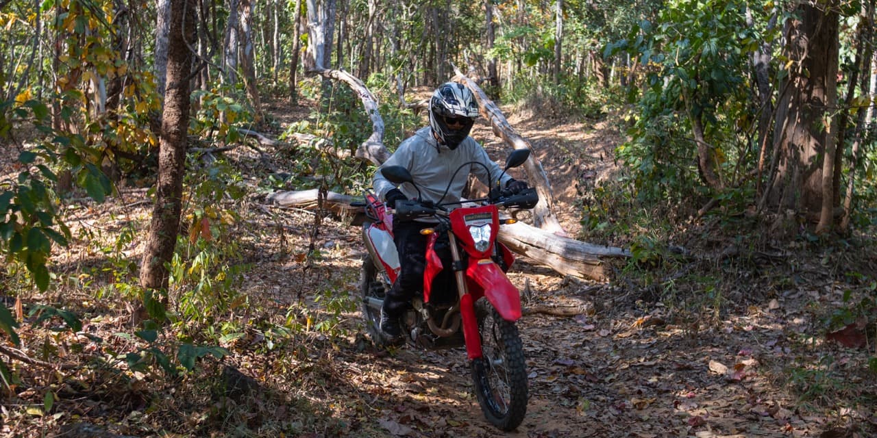 The Mae On Warm Up Trail