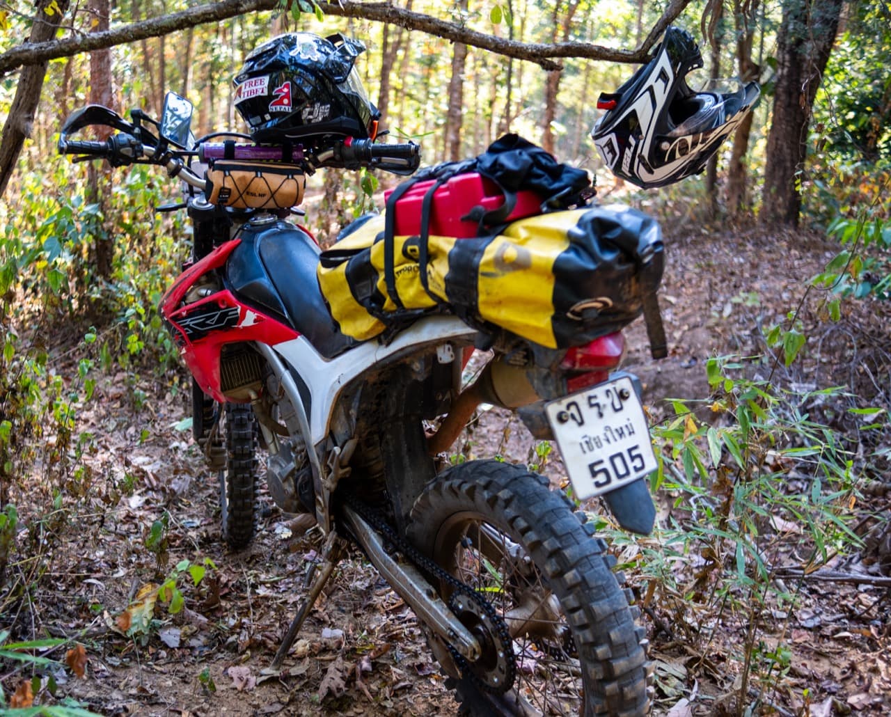 The Mae On Warm Up Trail