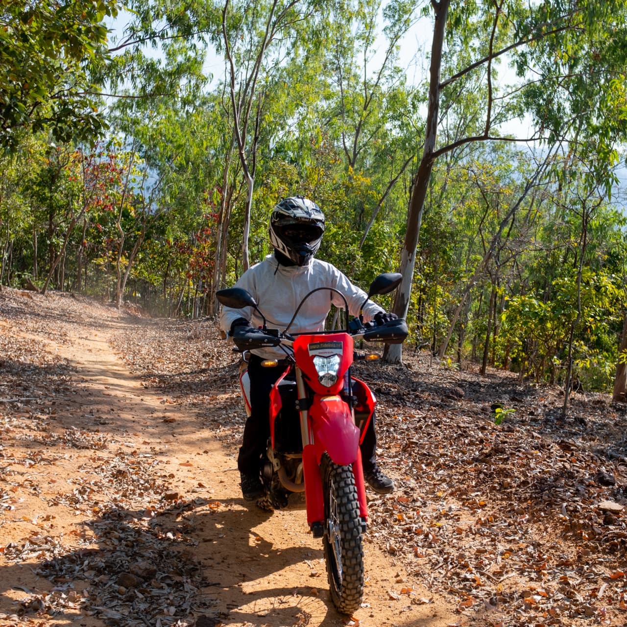 The Mae On Warm Up Trail