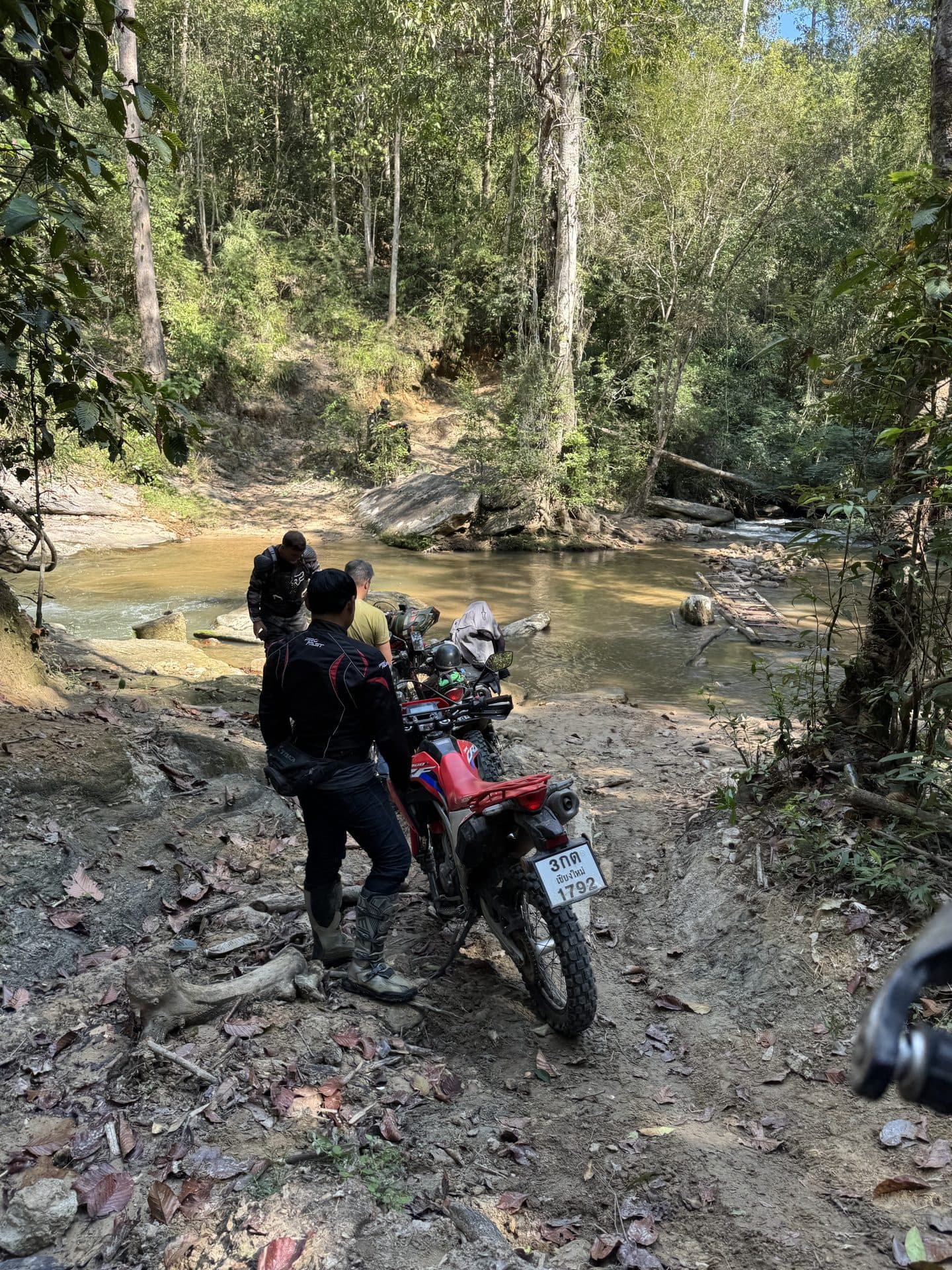 Bamboo Creek and the Butterfly Trail