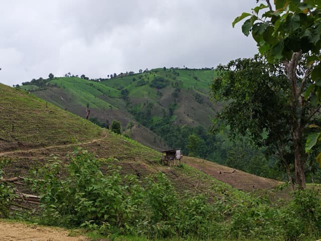 Mae Chaem Eastern Mud Fest