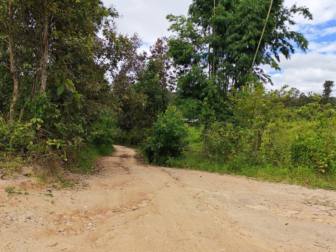 Samoeng to Mae Win Offroad